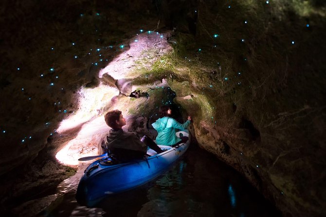 Glow Worm Kayak Tour - Highlights of the Glow Worm Experience