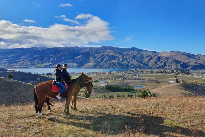 Golden Hills Horse Treks - Health and Accessibility Guidelines
