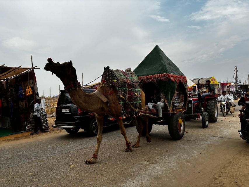 Golden Triangle Tour Pushkar & Jodhpur By Car 7 Nights 8 Day - Pricing and Reservation