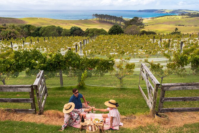 Gourmet Mystery Picnic Experience in Matakana - Schedule and Accessibility Details