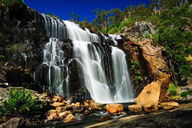 Grampians National Park Small-Group Eco Tour From Melbourne - Customer Reviews and Feedback
