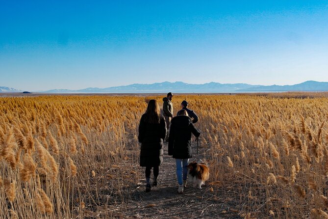 Great Salt Lake Wildlife and Sunset Experience - Guest Experiences