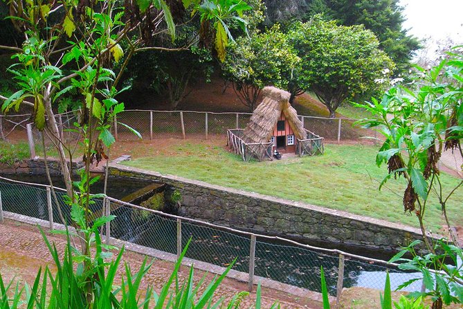 Green Cauldron Levada Walk From Funchal - What to Bring Along