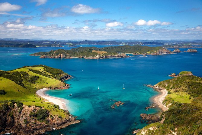 Group Tour to Bay of Islands Return From Auckland - Pickup and Departure Details