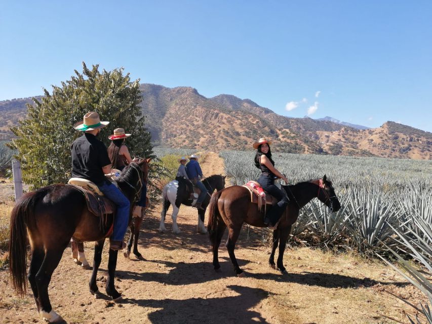 Guadalajara: Horse Riding on the Tequila Route With Tastings - Idyllic Lunch Location