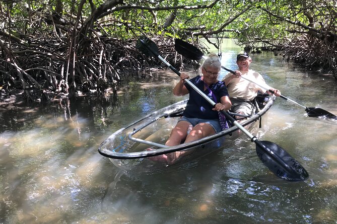 Guided Island Eco Tour - CLEAR or Standard Kayak or Board - Guides and Expertise