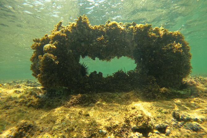 Guided Jet Scooter Snorkeling Experience, Free Videos San Juan - Unique Snorkeling Features