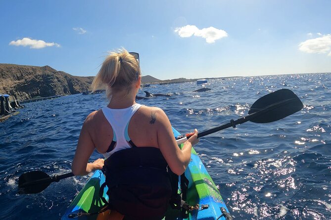 Guided Kayak Tour From Los Cristianos Beach Tenerife - Accessibility and Restrictions