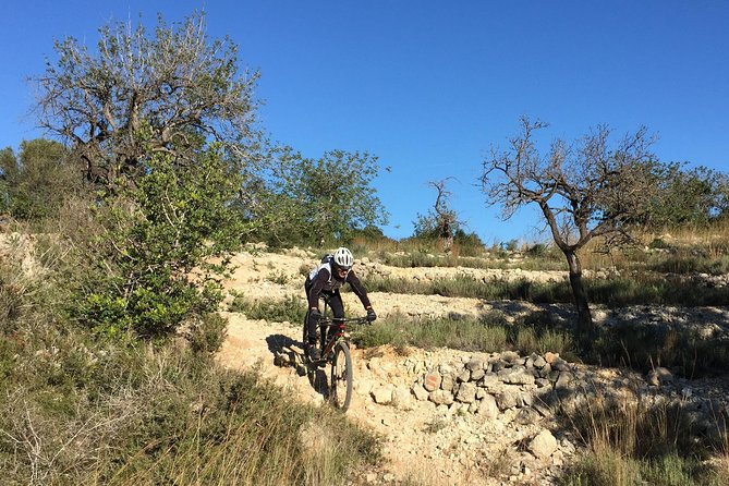 Guided Mountain Bike Route - Pata Negra Tour - Accessibility and Suitability