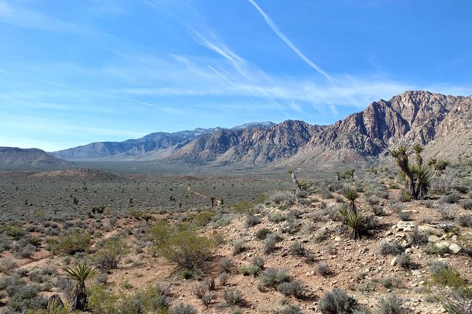 Guided Mountain Bike Tour of Mustang Trail in Red Rock Canyon - Booking Information
