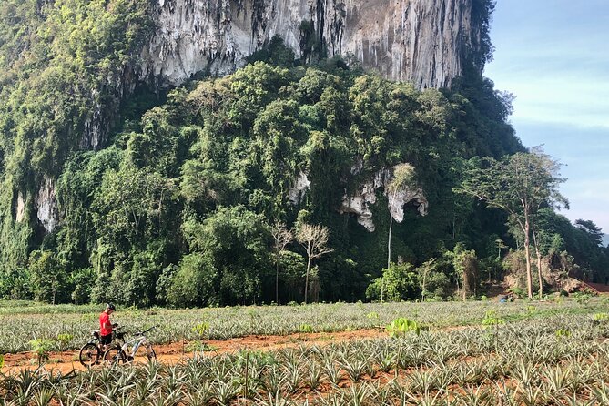 Guided Mountain Biking - Grand Tour - Trails of Ao Nang - Cultural Insights and Local Markets