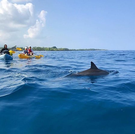 Guided Outrigger Canoe Tour in Kealakekua Bay - Meeting Location