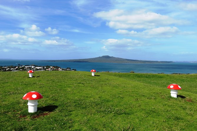 Guided Segway Tour to the Summit of Mt Victoria in Devonport Auckland - Safety Measures