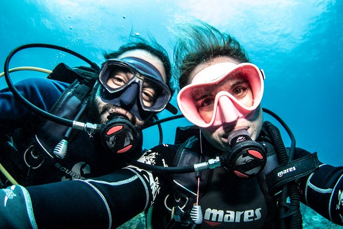 Guided Shore Dive for Certified Divers With Scubaçao (2 Tank) - Customer Reviews and Ratings