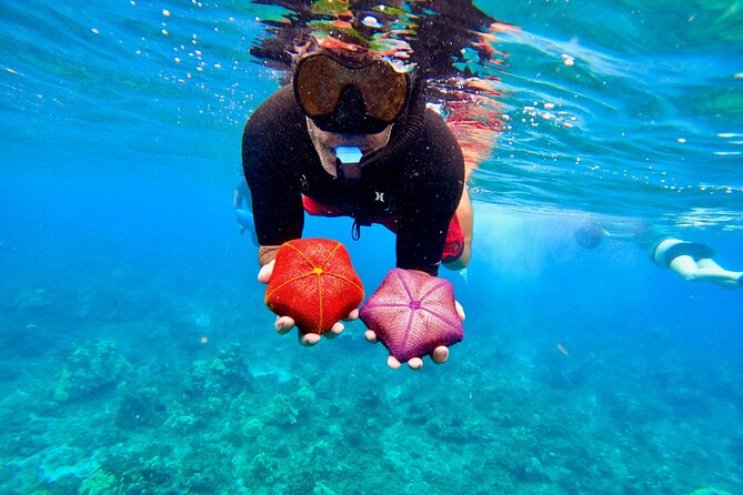 Guided Snorkeling Tour for Non-Swimmers Wailea Beach - Instructor Expertise