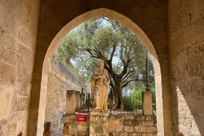 Guided Tour of the Alcazar De Los Reyes Cristianos - Accessibility Features