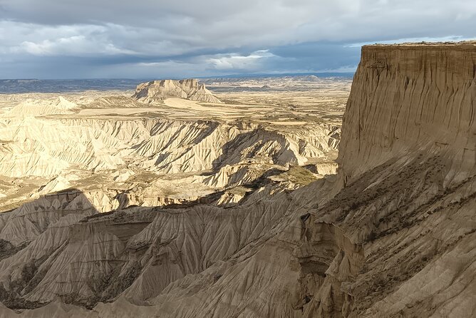 Guided Tour of the Bardenas Reales of Navarre by 4x4 - Wildlife Viewing Opportunities