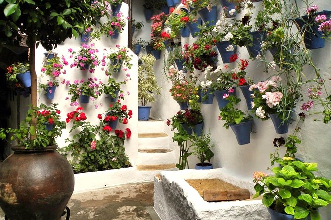 Guided Tour to the Popular Patios of Cordoba - Best Times to Visit