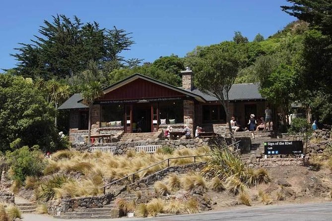 Guided Walk & Scenic Drive From Christchurch- Port Hills & Packhorse Hut - Participation Guidelines