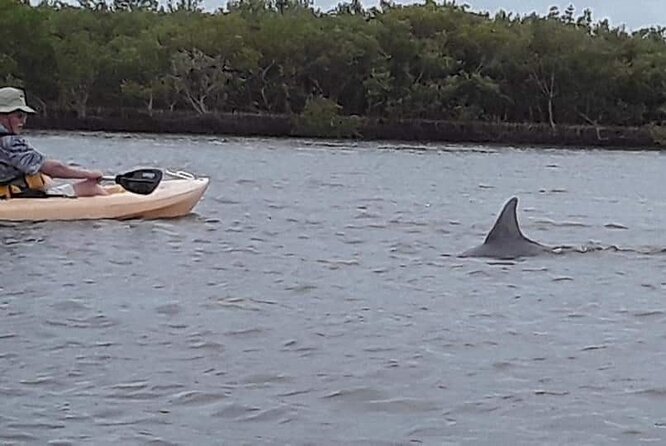 Guided Wildlife Eco Kayak Tour in New Smyrna Beach - Booking Process