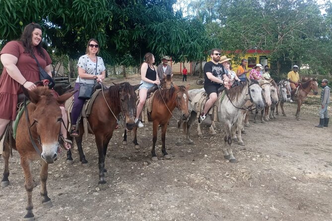 Half-Day City Tour Cultural From Punta Cana for Small Group - Customer Feedback and Reviews