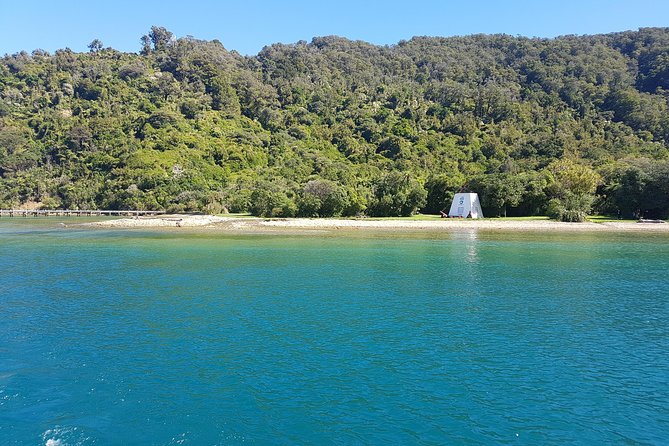 Half-Day Cruise in Marlborough Sounds From Picton - Accessibility Information