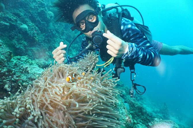 Half Day Discover SCUBA Diving Phi Phi Island - Preparing for Your Dive