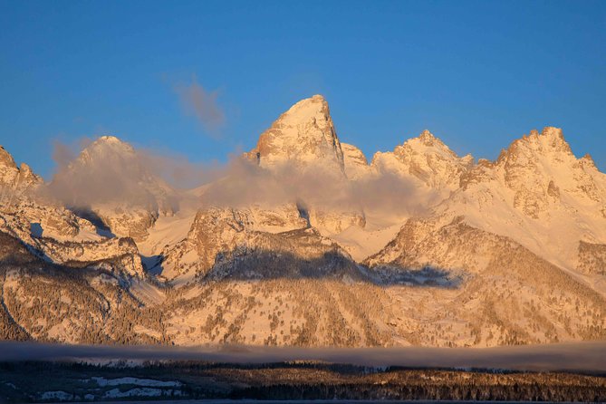 Half-Day Grand Teton Wildlife Private Safari Tour - Guest Experiences