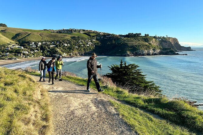 Half Day Guided Walking Tour on Banks Peninsula - Participant Information
