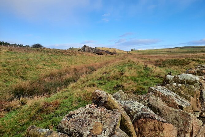 Half Day Hadrian's Wall Guided Tour - What to Expect