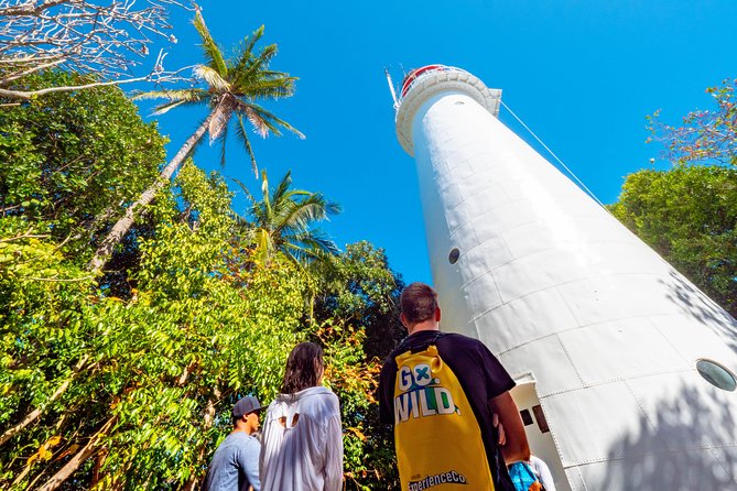 Half Day Low Isles Snorkelling Tour From Port Douglas - Snorkeling Experience