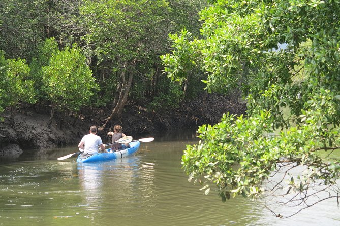 Half Day Mangrove by Kayaking or Longtail Boat From Koh Lanta - Wildlife Spotting Opportunities