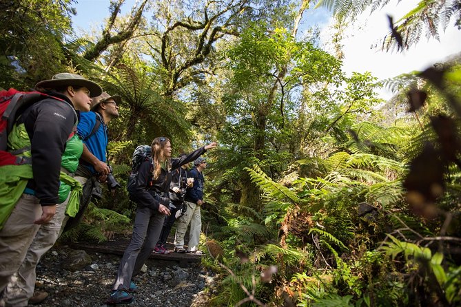 Half-Day Milford Track Guided Hiking Tour - Customer Feedback