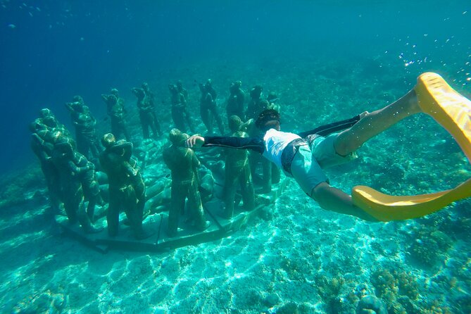 Half-Day Private Guided Snorkeling Turtles Underwater Statues - Encounter With Turtles