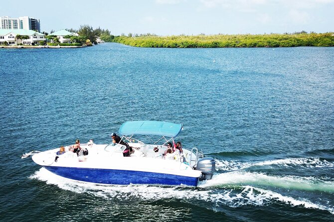 Half-Day Private Stingray City Charter in Cayman Islands - What to Expect