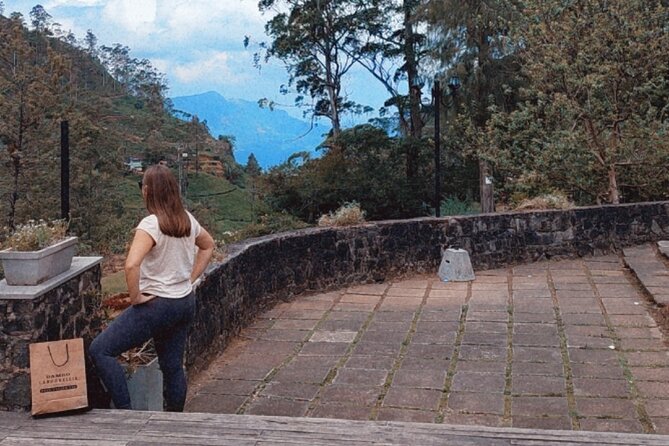 Half-Day Private Trip to Waterfalls and Tea Factory - Whats Included in the Tour