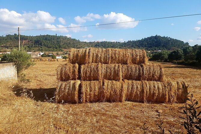 Half-Day Small-Group E-Bike Tour of Rural Algarve With Lunch - Booking Process