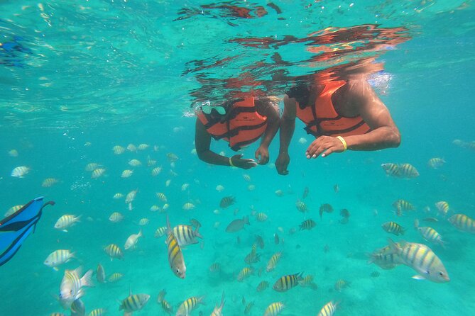 Half-Day Snorkeling Cruise and Natural Pool With Open Bar - Tour Expectations and Limitations