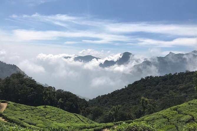 Half Day Sunrise Tour on Top Station, Munnar ( By Munnar Info) - Customer Reviews and Ratings