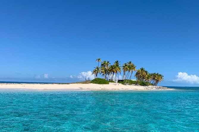 Half Day Swimming Pigs on Rose Island, Snorkeling and Lunch - Reviews and Ratings