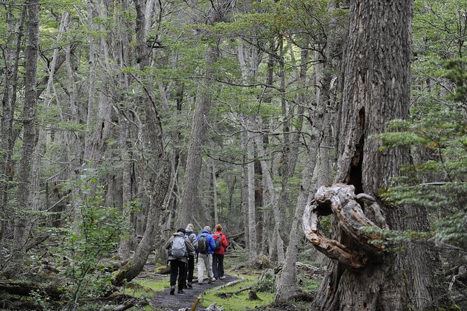 Half-Day Tierra Del Fuego National Park With Lunch and Drinks - Customer Experiences