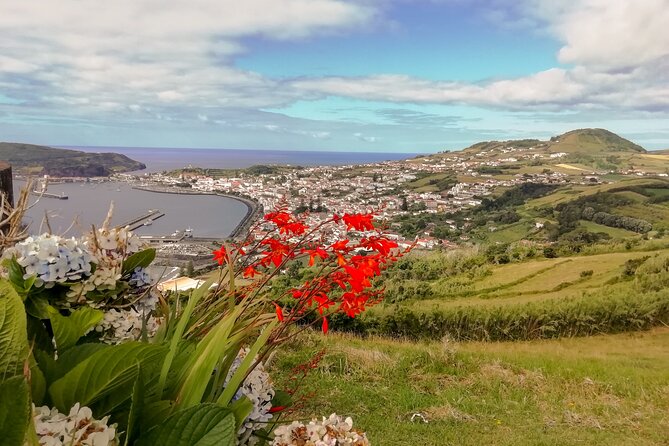 Half Day Tour - Faial Island - Price and Availability