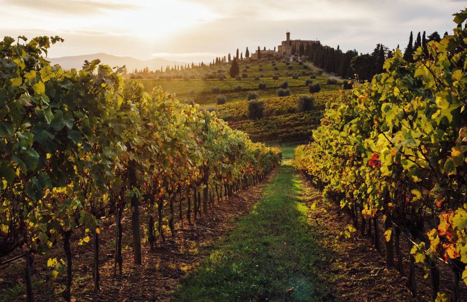 Half-Day Tour From Florence: Chianti Colors & Flavors - Savor Regional Appetizers and Snacks