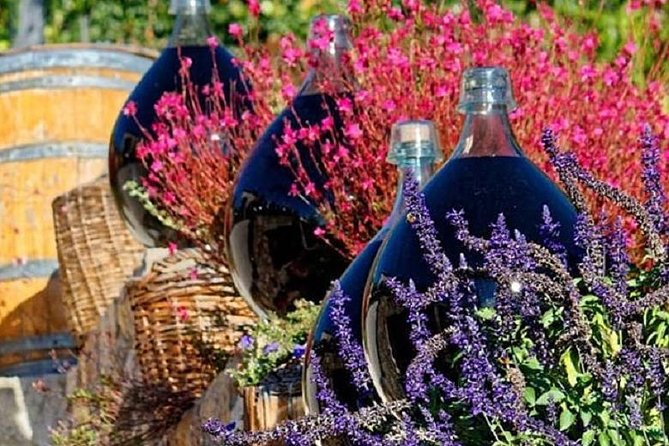 Half-Day Wine Tasting and Saint Paul De Vence Tour From Nice - Recommendations for Travelers