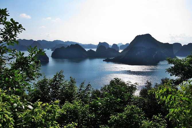 Halong Bay Cruise - Day Tours - Group Size and Pricing