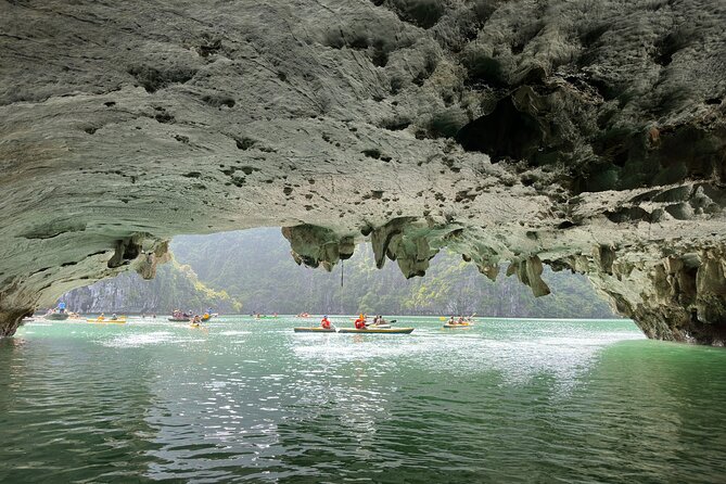 Halong Bay Luxury Day Cruise With Buffet Lunch and Limousine Bus - Customer Experiences