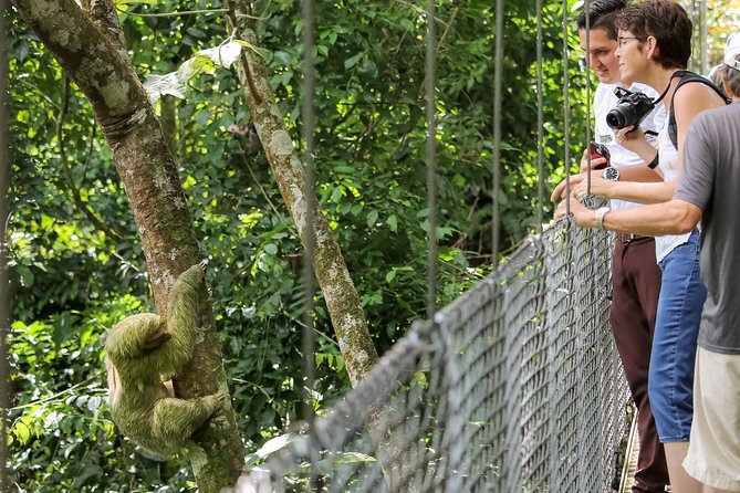 Hanging Bridges Walk in Arenal Volcano - Customer Service Insights