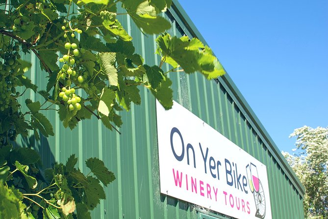 Hawkes Bay Wineries Self-Guided Bike Tour - Meeting Location