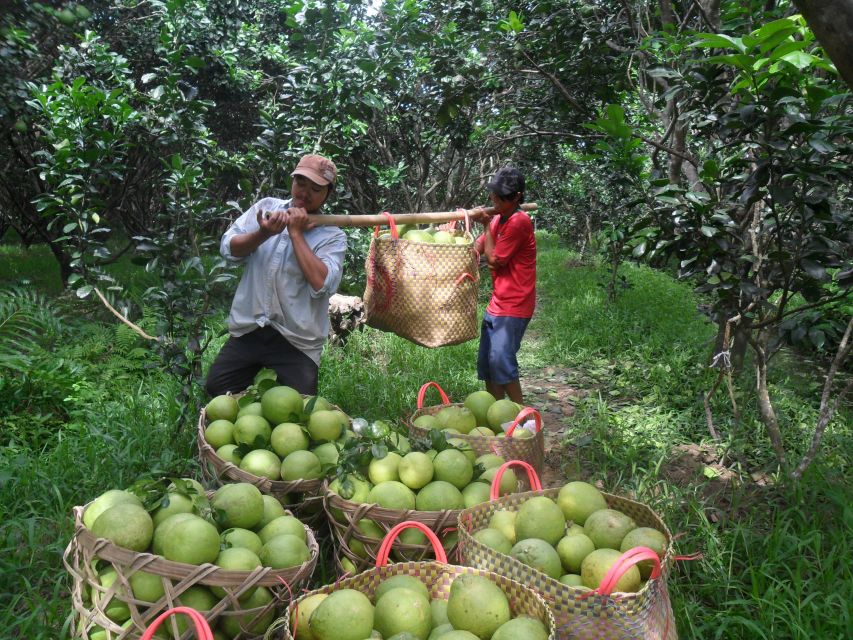 HCMC: Cai Rang Floating Market & Mekong Delta Private Tour - Scenic Mekong River Cruise