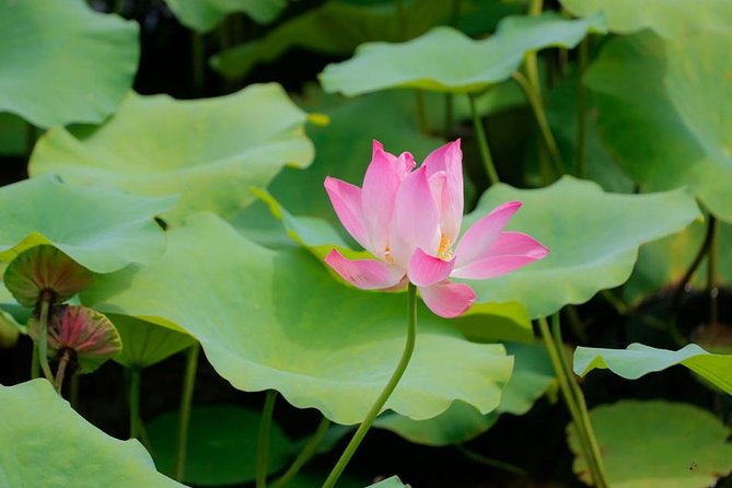 Heaven Gate Lempuyang Temple Most Instagramable Tour - Discovering Ujung Water Palace